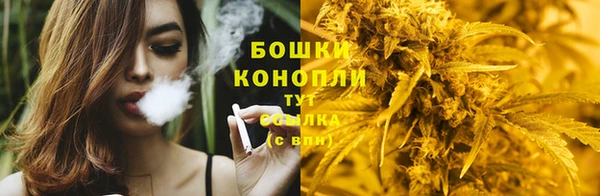 твердый Лиски
