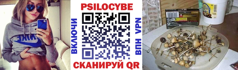 сайты даркнета как зайти Шиханы Псилоцибиновые грибы ЛСД