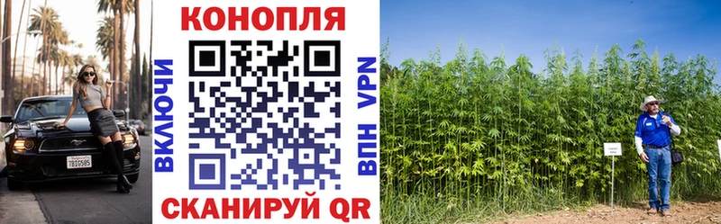 МАРИХУАНА конопля  Шиханы 